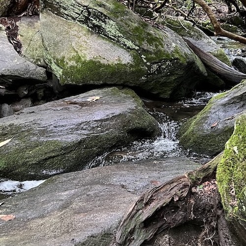 Rocky Stream